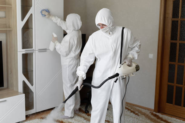 Water Damage Restoration in Holly, MI